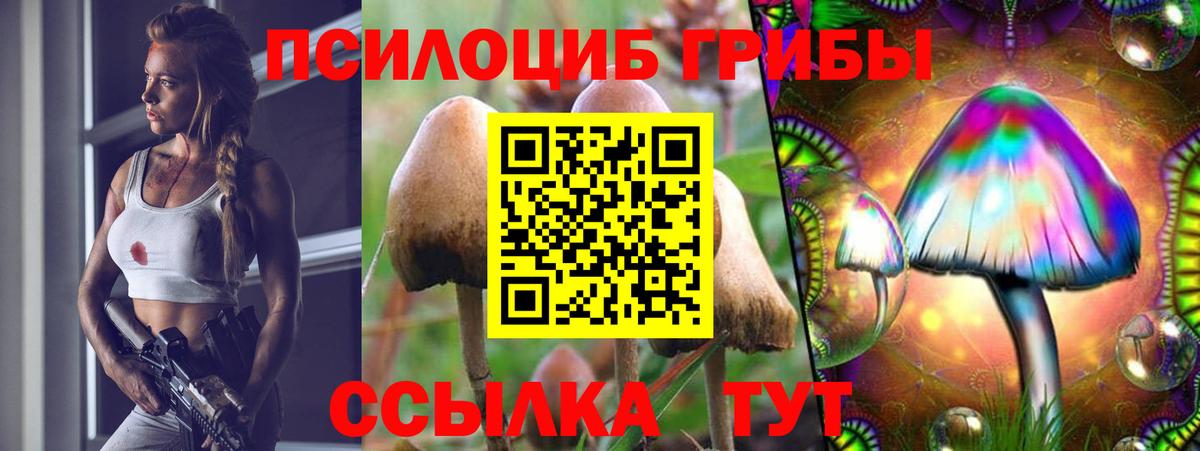 Псилоцибиновые грибы мухоморы  Вход с VPN  купить   Иваново  Псилоцибиновые грибы мухоморы 