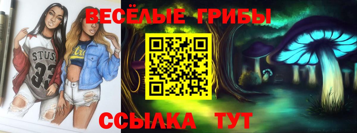Псилоцибиновые грибы MAGIC MUSHROOMS Иваново